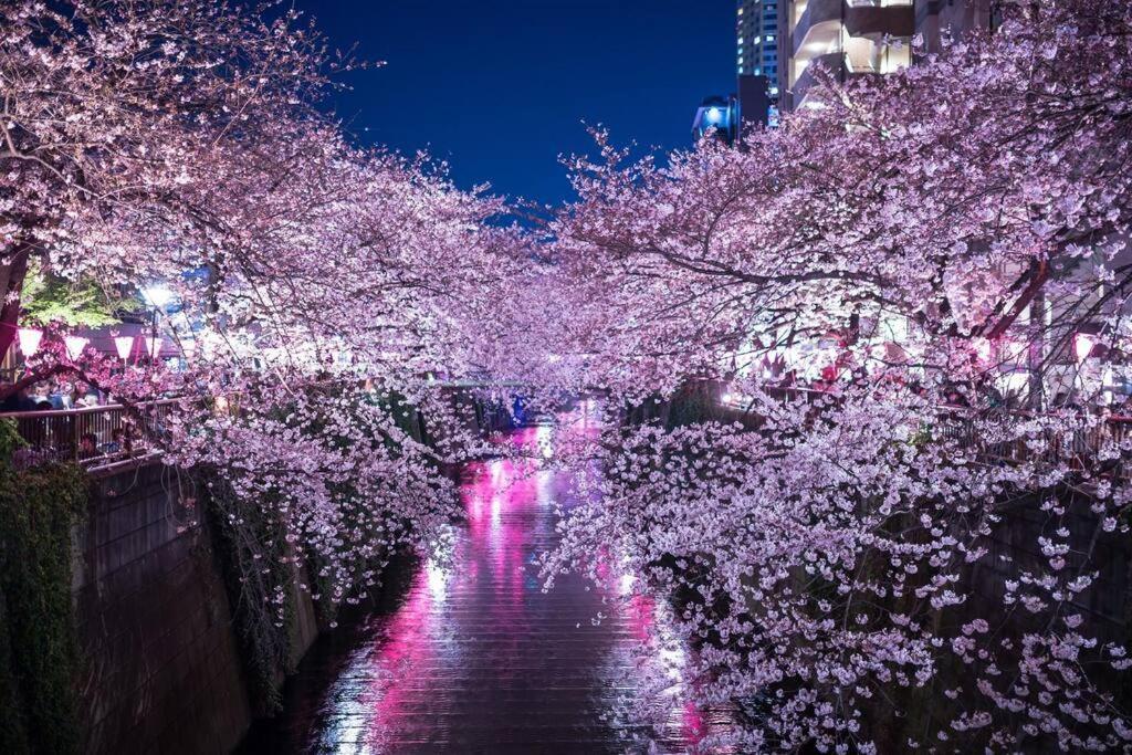 Tokyo'S Best Spot Shibuya! 3Person Room Free Wi-Fi エクステリア 写真