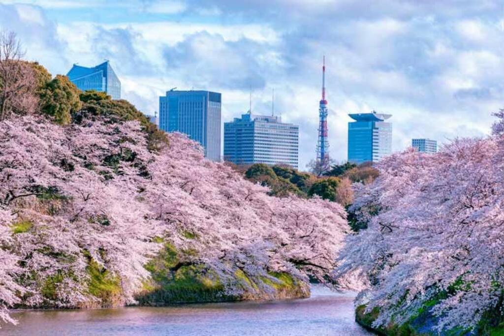 Tokyo'S Best Spot Shibuya! 3Person Room Free Wi-Fi エクステリア 写真