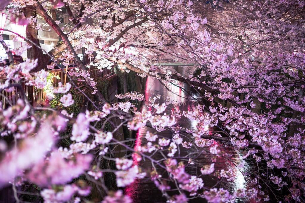 Tokyo'S Best Spot Shibuya! 3Person Room Free Wi-Fi エクステリア 写真